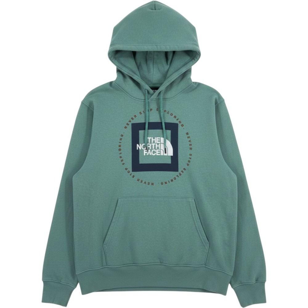 North Face Geo NSE Box Logo Hoodie Men's M Sage Green Gorpcore Streetwear